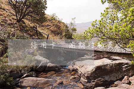 信用卡 逾期对船员 信用卡 逾期对船员
